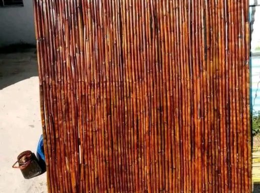 WhatsApp Image 2025-03-29 at 13.35.34_0ee20af1