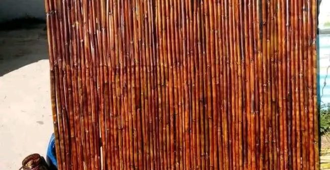 WhatsApp Image 2025-03-29 at 13.35.34_0ee20af1