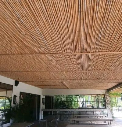 WhatsApp Image 2025-03-29 at 13.35.49_536e8bcf