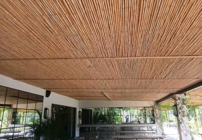 WhatsApp Image 2025-03-29 at 13.35.49_536e8bcf