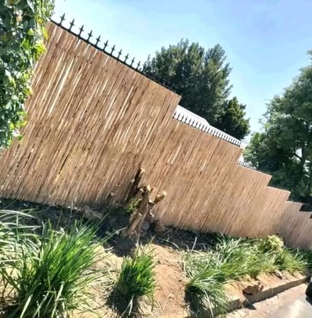 WhatsApp Image 2025-03-29 at 13.35.54_98abee5c