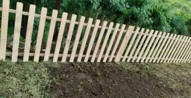 WhatsApp Image 2025-03-29 at 13.36.05_42ae0ba3